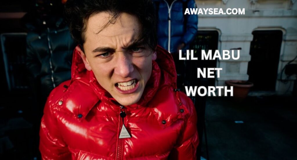 lil mabu net worth