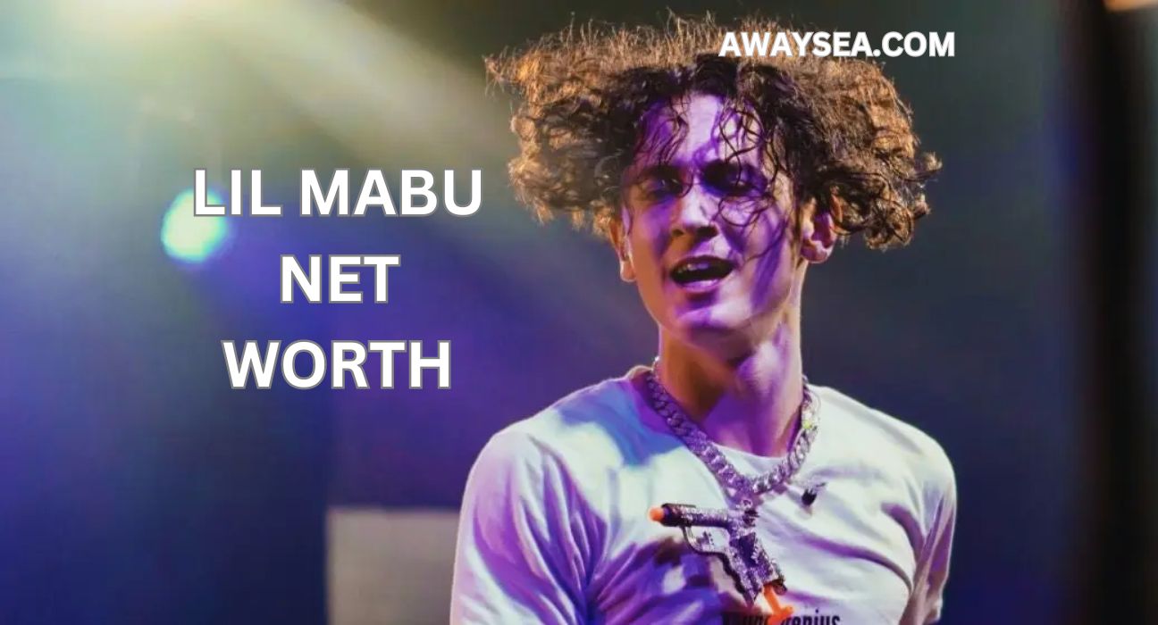 lil mabu net worth