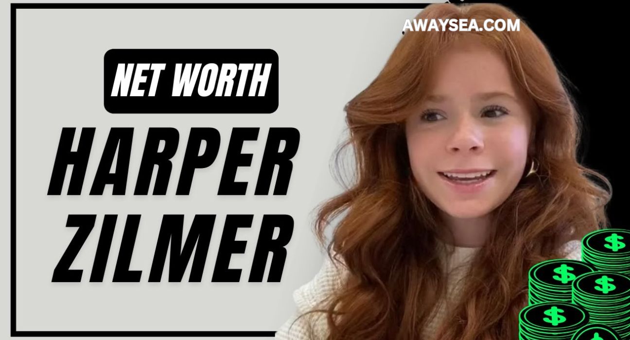 harper zilmer net worth