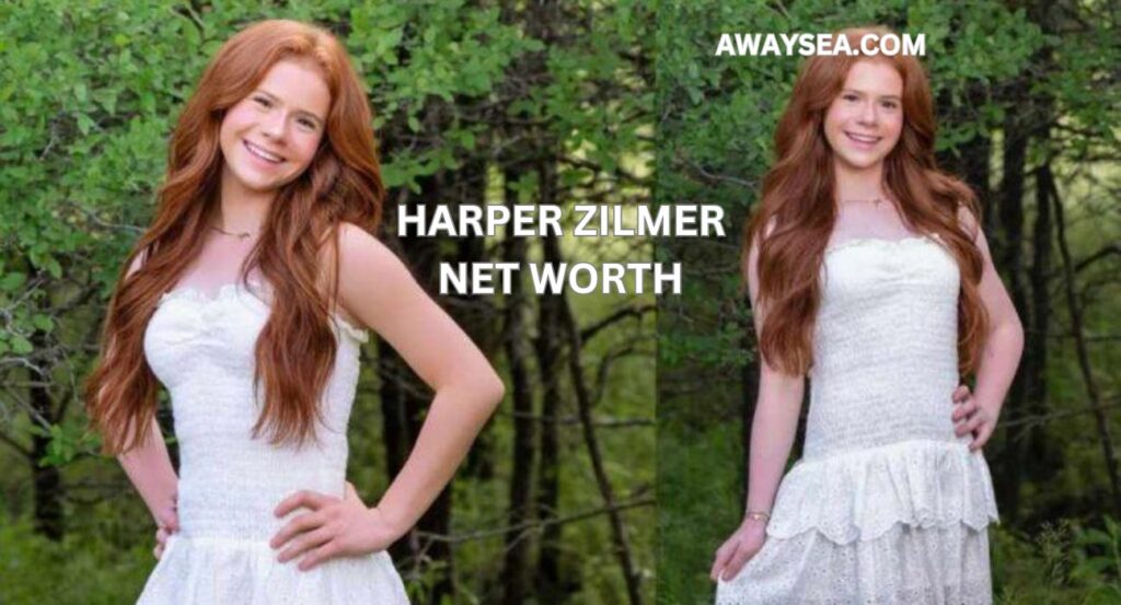 harper zilmer net worth