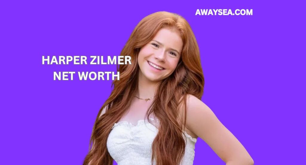 harper zilmer net worth