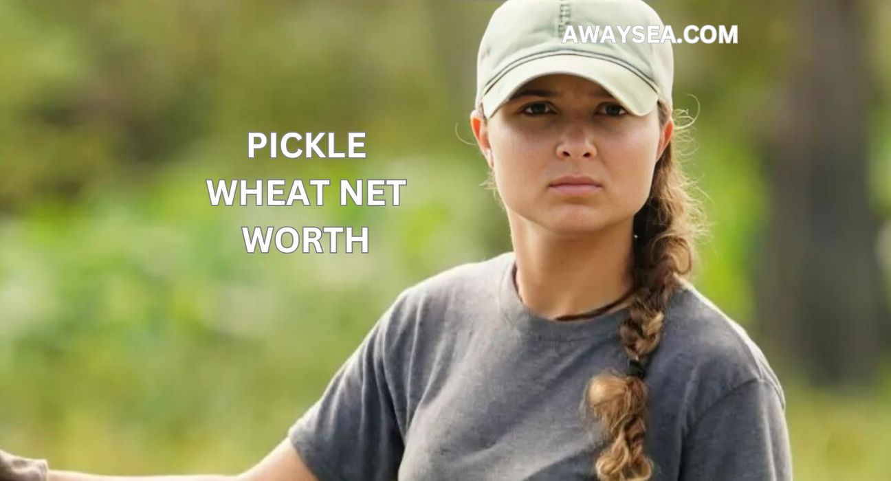 Pickle Wheat Net Worth