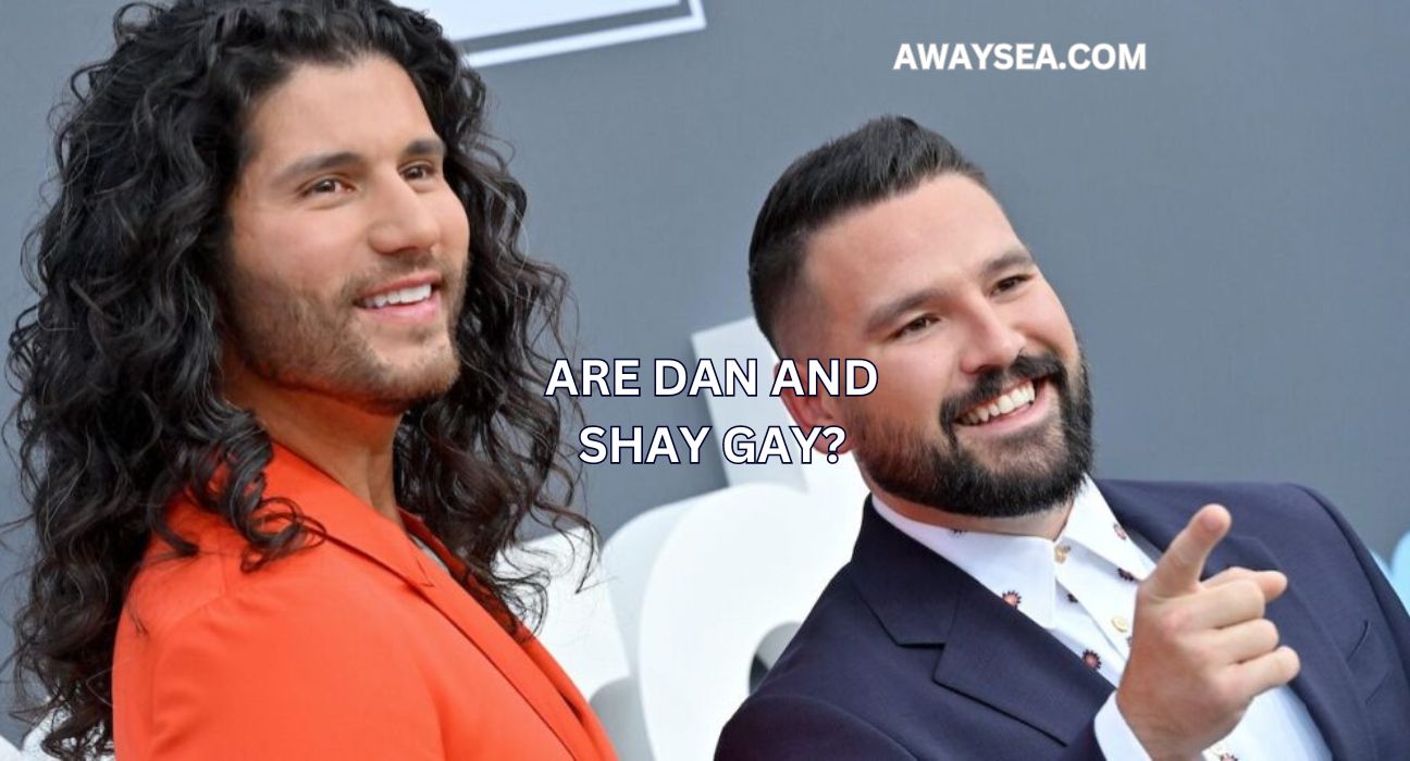 Are Dan and Shay Gay?