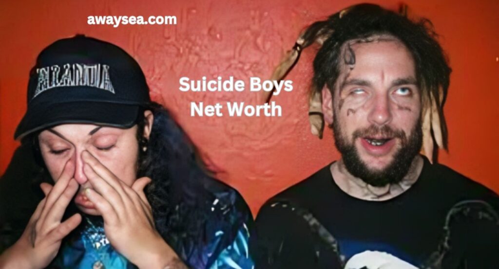  suicide boys net worth 